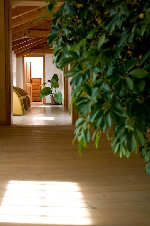 Agriturismo Al Casale 코드로이포 외부 사진