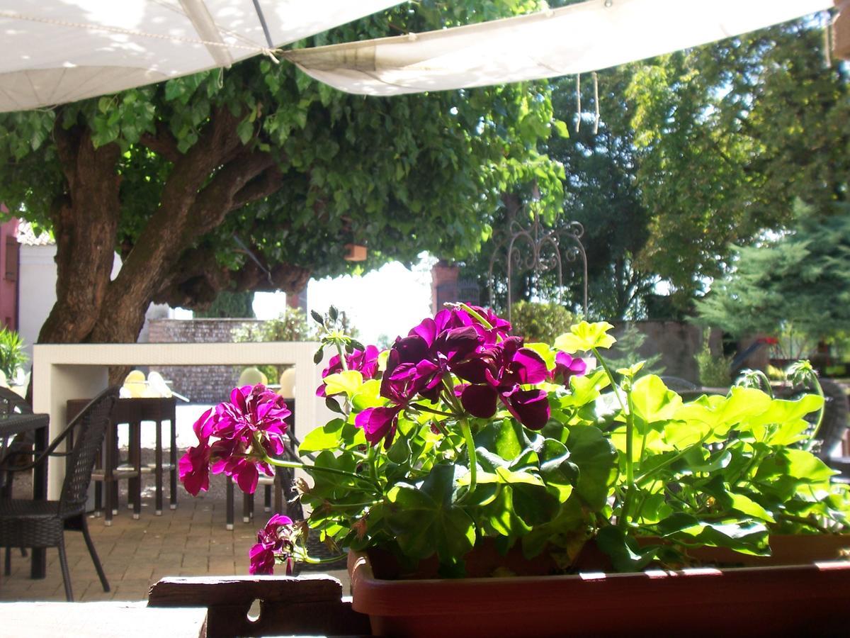 Agriturismo Al Casale 코드로이포 외부 사진