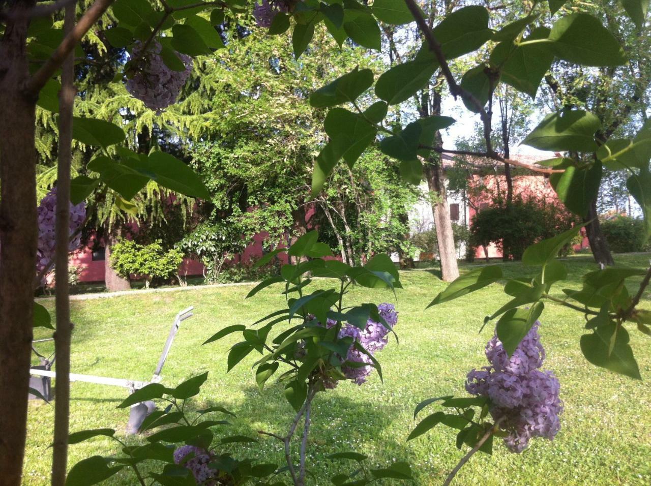 Agriturismo Al Casale 코드로이포 외부 사진