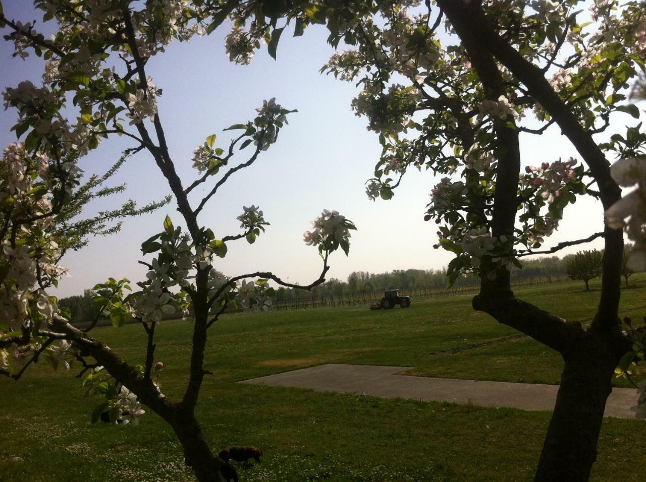 Agriturismo Al Casale 코드로이포 외부 사진