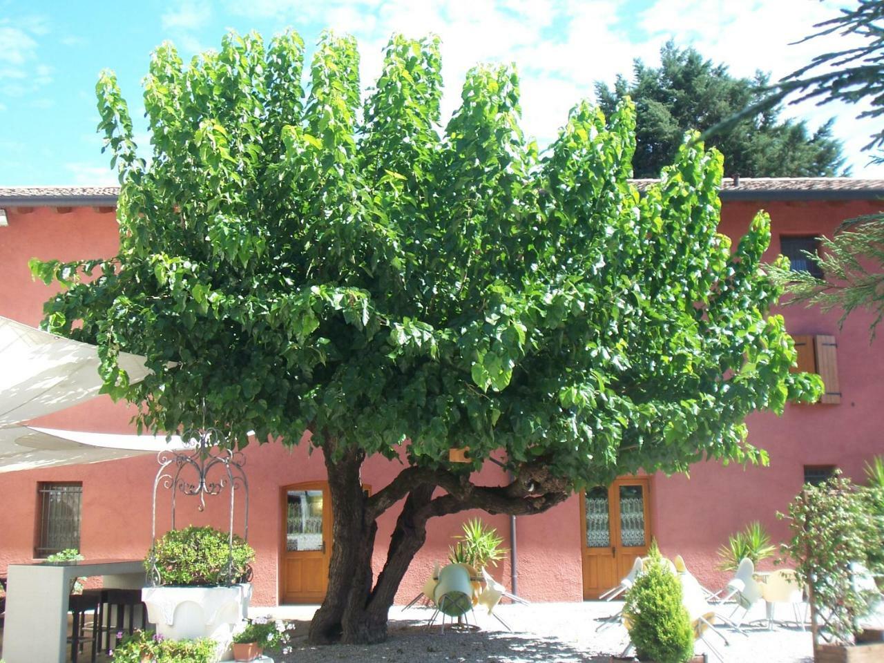 Agriturismo Al Casale 코드로이포 외부 사진